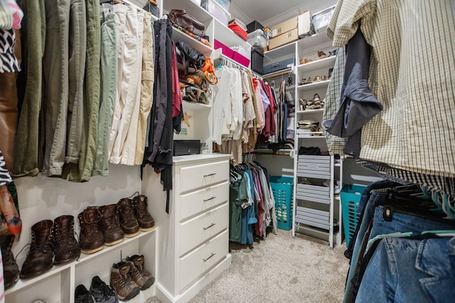 walk in closet with carpet floors