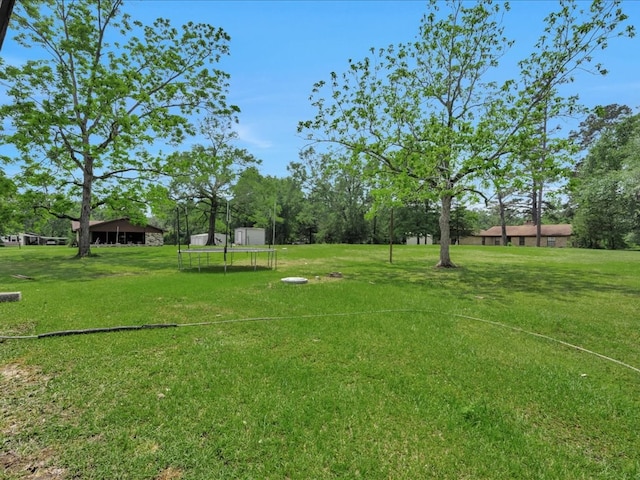 view of yard with a trampoline