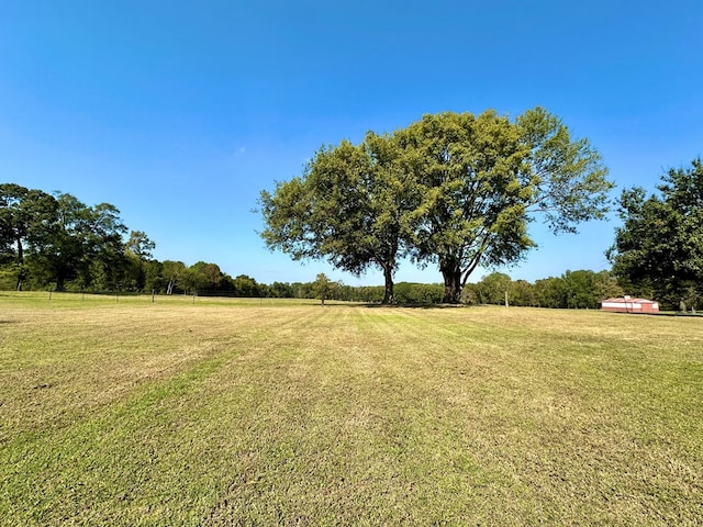 view of yard featuring a rural view