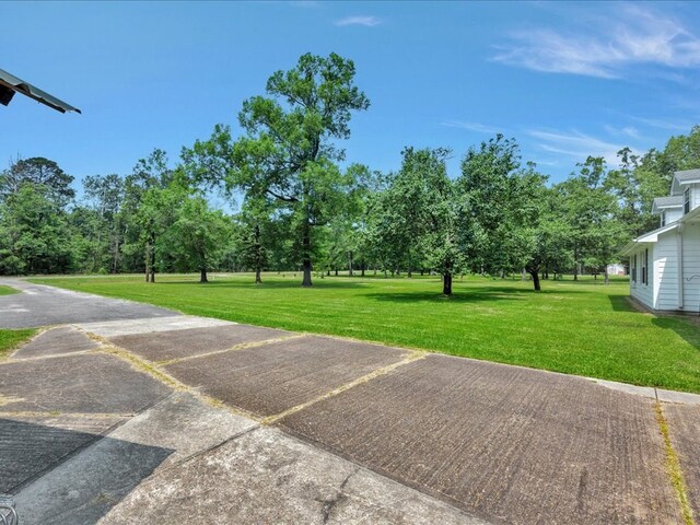 21441 Fm 705, Broaddus, TX 75929 - view of green lawn