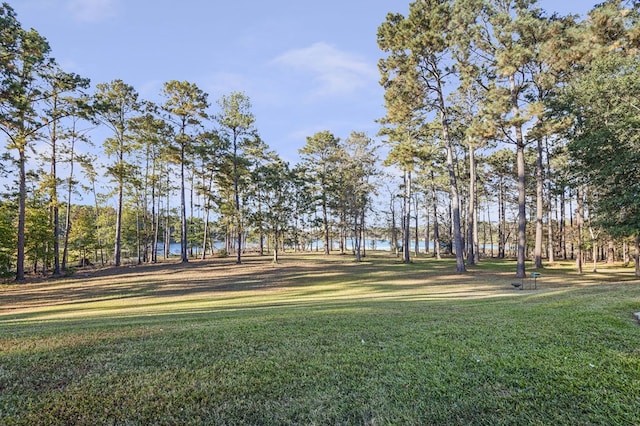 surrounding community featuring a water view and a lawn