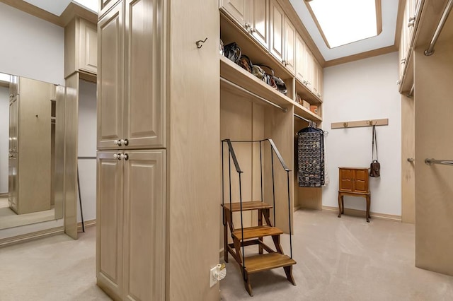 spacious closet with light colored carpet