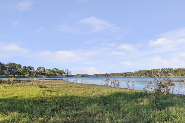 2101 Fm 1007, Brookeland, TX 75931 - property view of water