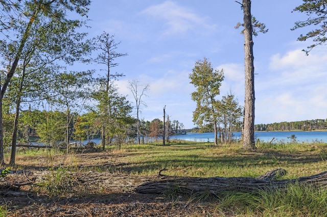 2101 Fm 1007, Brookeland, TX 75931 - view of water feature