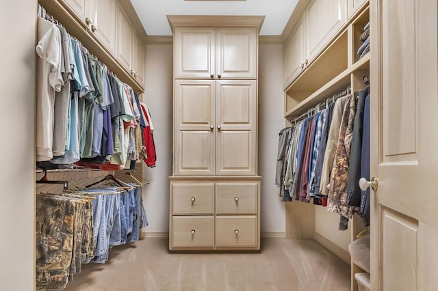 spacious closet with light carpet