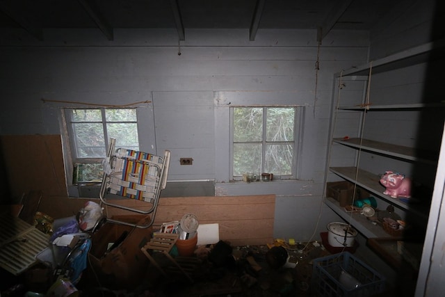 miscellaneous room with a healthy amount of sunlight