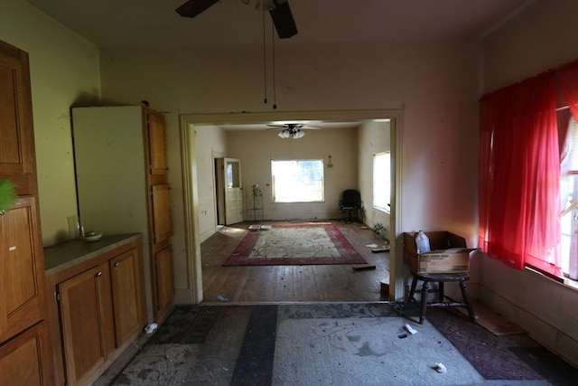 doorway with ceiling fan and dark wood-type flooring