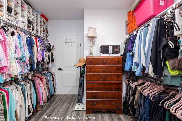 spacious closet featuring wood finished floors