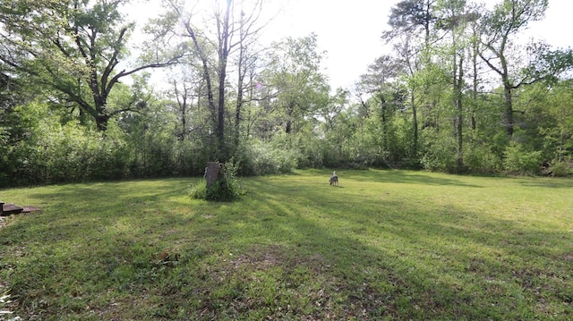 404 County Road 3036, Newton, TX 75966 - photo 10