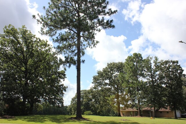 594 County Road 176, San Augustine, TX 75972 - photo 27