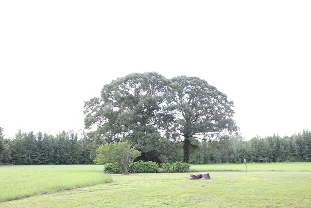 594 County Road 176, San Augustine, TX 75972 - photo 22