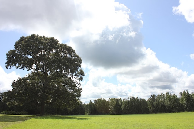 594 County Road 176, San Augustine, TX 75972 - photo 17