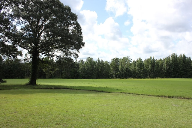 594 County Road 176, San Augustine, TX 75972 - photo 16