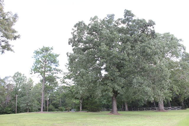 594 County Road 176, San Augustine, TX 75972 - photo 24