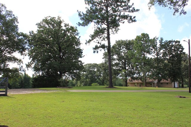 594 County Road 176, San Augustine, TX 75972 - photo 3