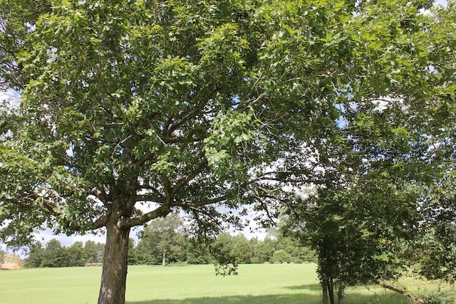 594 County Road 176, San Augustine, TX 75972 - photo 19