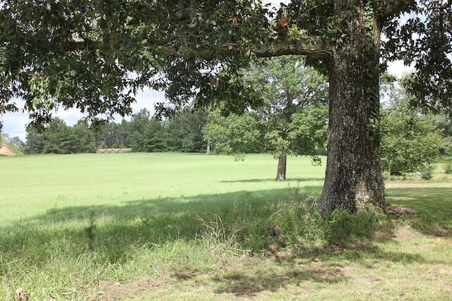 594 County Road 176, San Augustine, TX 75972 - photo 20