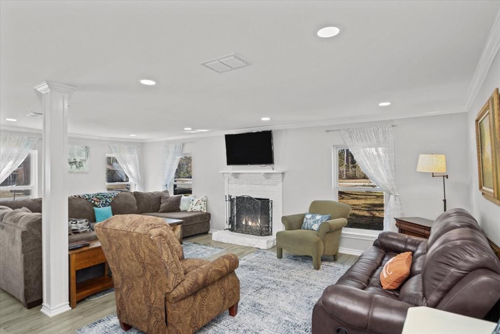 living room with crown molding, decorative columns, light hardwood / wood-style floors, and a healthy amount of sunlight