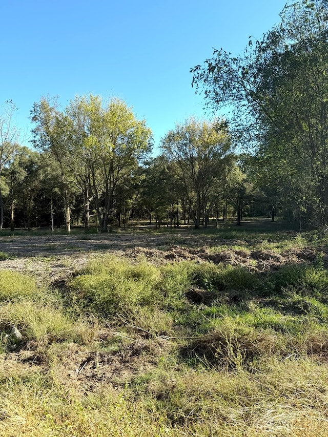 Listing photo 2 for TBD Fm 138, Center TX 75935