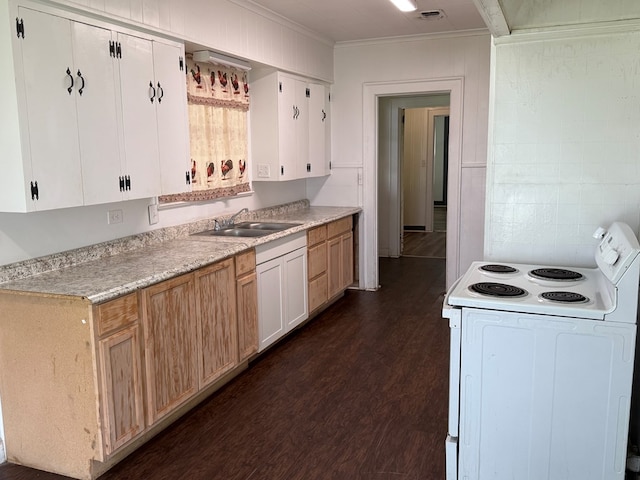 730 Kiln St, Lufkin, TX 75904 - kitchen featuring electric range, a sink, crown molding, dark wood finished floors, and light countertops