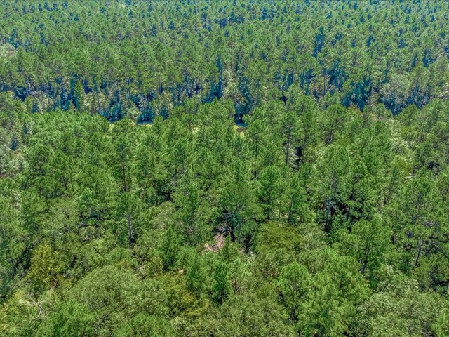 83196LOT16 County Road 546, Nacogdoches, TX 75961 - photo 7