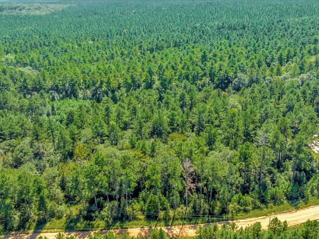 83196LOT16 County Road 546, Nacogdoches, TX 75961 - photo 4