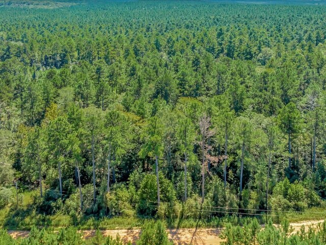 83196LOT16 County Road 546, Nacogdoches, TX 75961 - photo 3