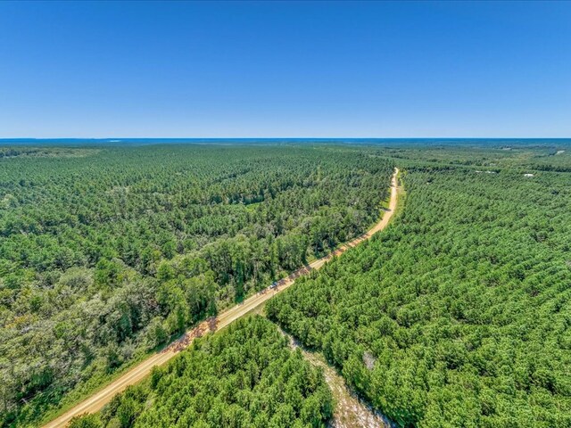 83196LOT16 County Road 546, Nacogdoches, TX 75961 - photo 10
