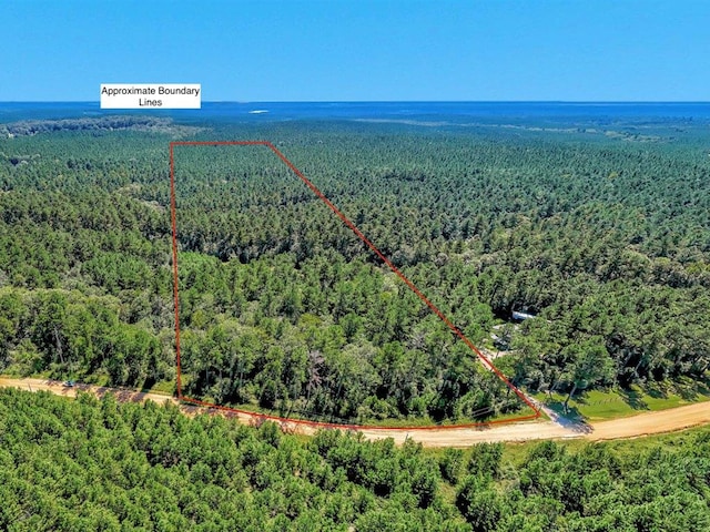 83196LOT16 County Road 546, Nacogdoches TX, 75961 land for sale