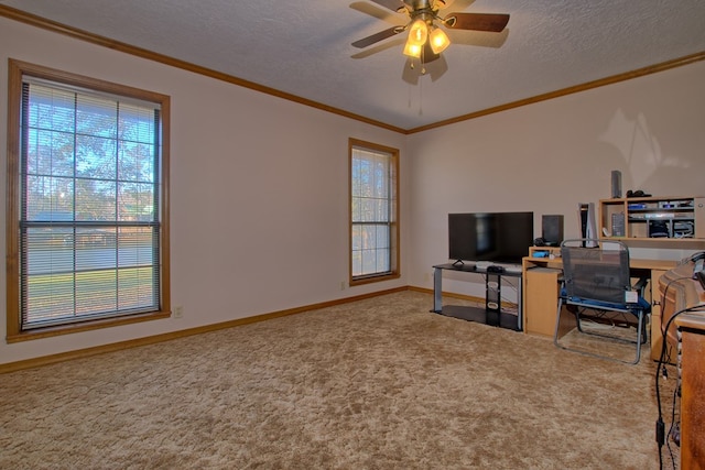 carpeted office space with ceiling fan, plenty of natural light, and a textured ceiling