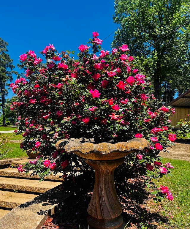 202 Tipperary Dr, Milam, TX 75959