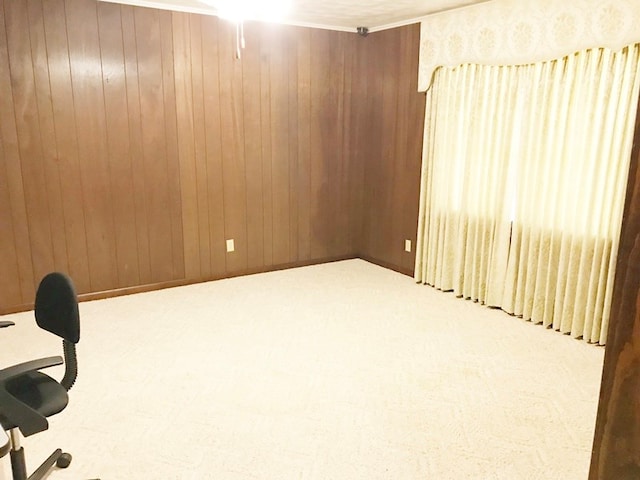 interior space featuring wooden walls and carpet floors