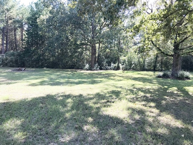 view of yard with a view of trees