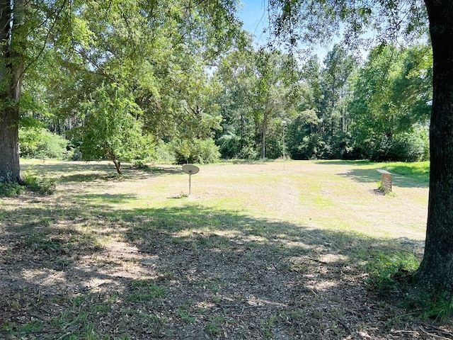 365 Roughrider Dr, Center, TX 75935 - view of grassy yard