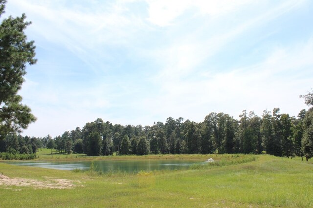 1.571ACLOT21 Cypress Hls, Jasper, TX 75951 - photo 13