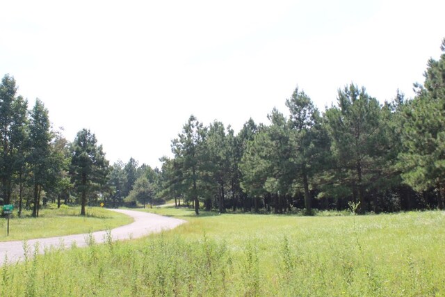 1.571ACLOT21 Cypress Hls, Jasper, TX 75951 - photo 6