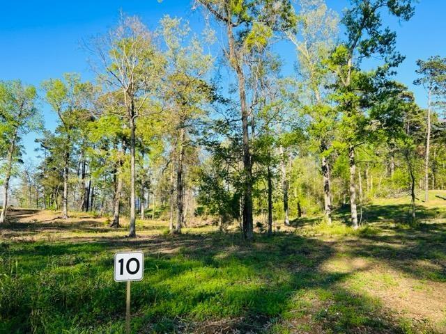 744 Nine Mile Rd, Milam TX, 75959 land for sale