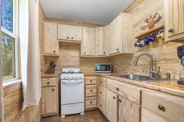 321 Apache Dr, Hemphill, TX 75948 - photo 8