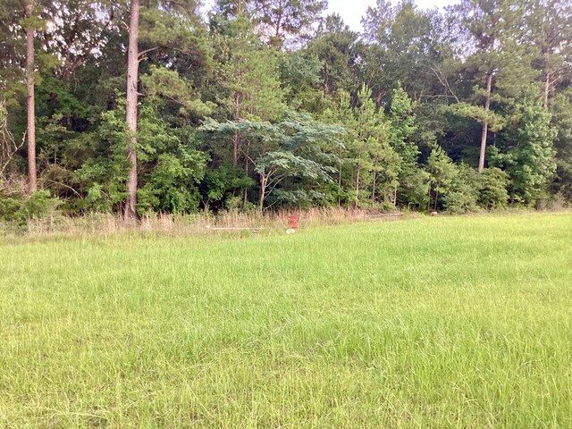 2020 County Road 2020, Newton, TX 75966 - photo 5