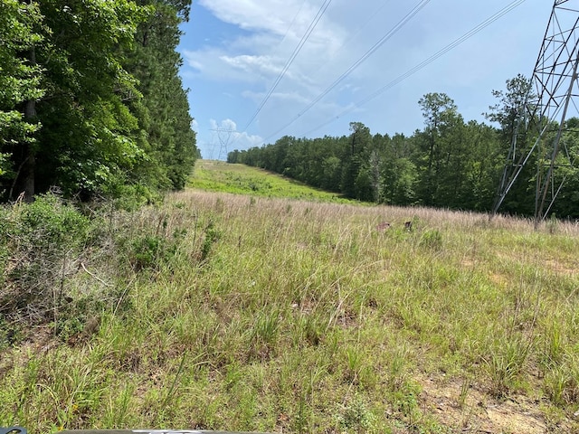 2020 County Road 2020, Newton, TX 75966 - photo 11