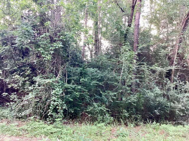 2020 County Road 2020, Newton, TX 75966 - photo 4