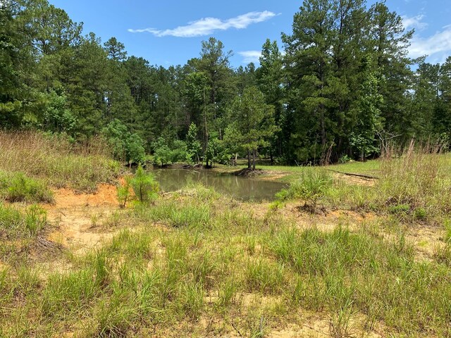 2020 County Road 2020, Newton, TX 75966 - photo 12