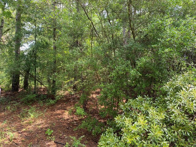 2020 County Road 2020, Newton, TX 75966 - photo 10