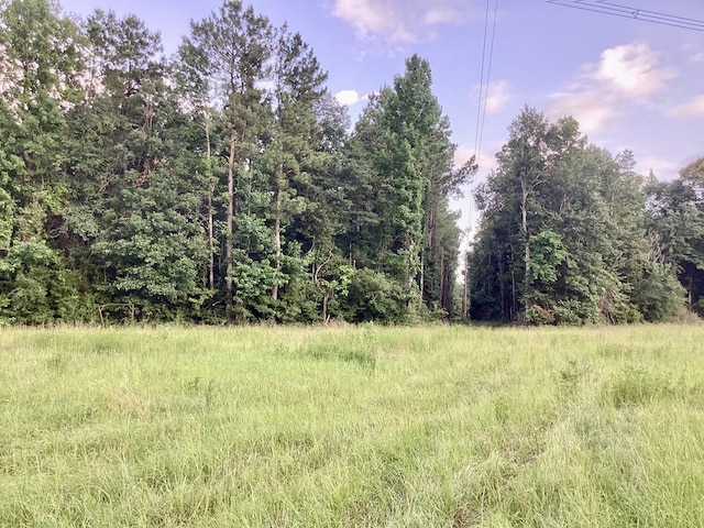 2020 County Road 2020, Newton, TX 75966 - photo 8