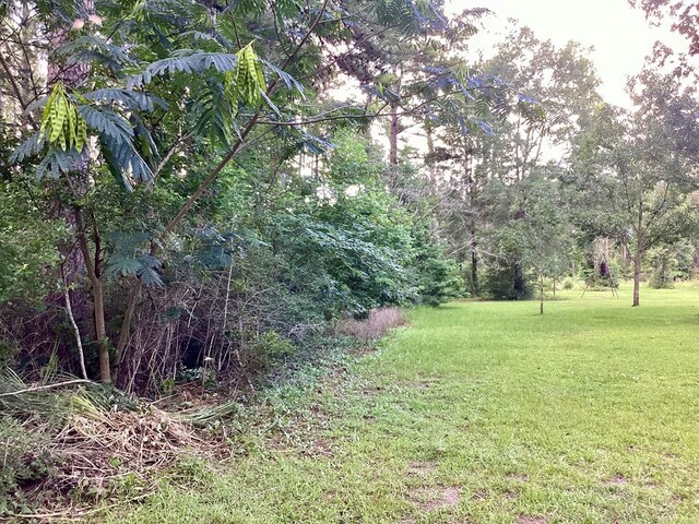 2020 County Road 2020, Newton, TX 75966 - photo 2