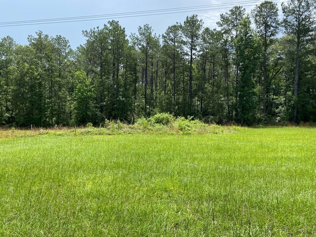 2020 County Road 2020, Newton, TX 75966 - photo 15
