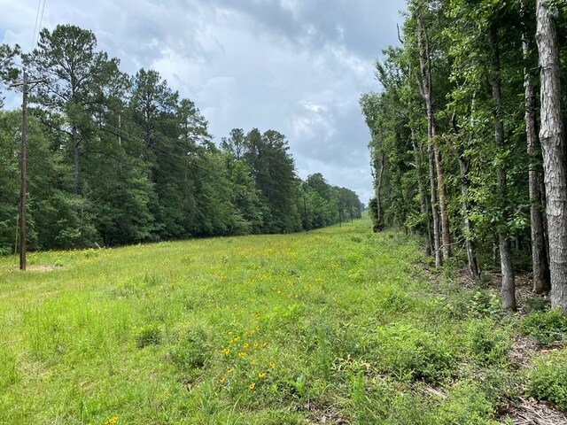 2020 County Road 2020, Newton, TX 75966 - photo 14