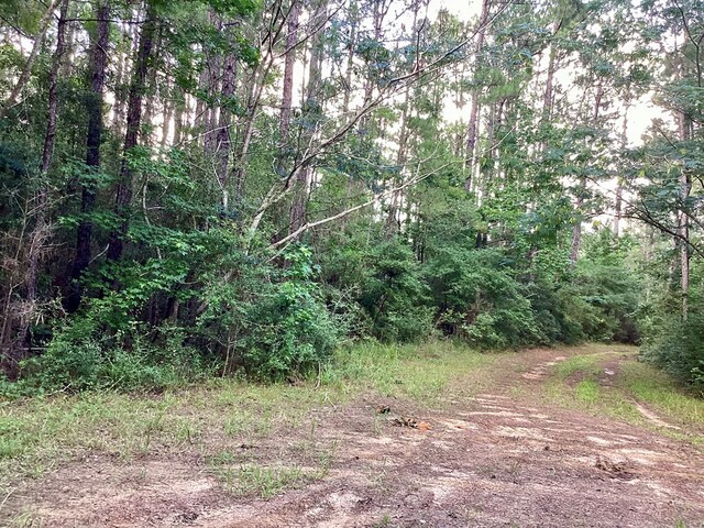 2020 County Road 2020, Newton, TX 75966 - photo 3
