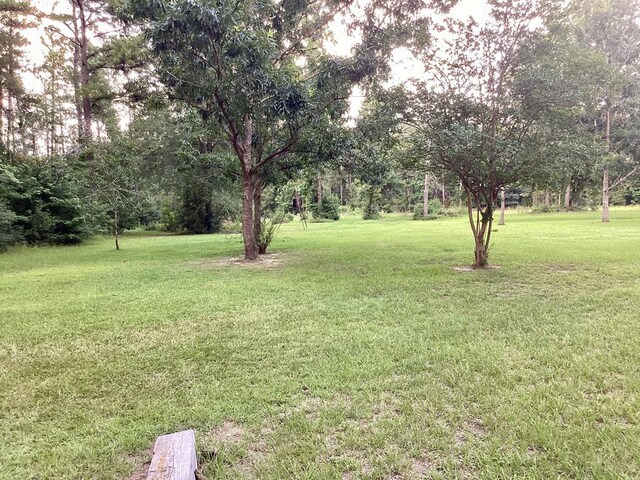 2020 County Road 2020, Newton, TX 75966 - photo 1