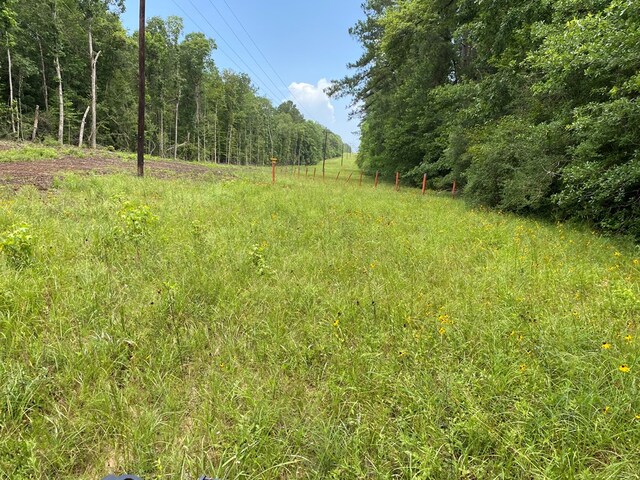 2020 County Road 2020, Newton, TX 75966 - photo 6